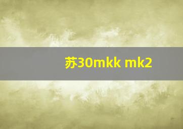 苏30mkk mk2